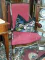 Sessel